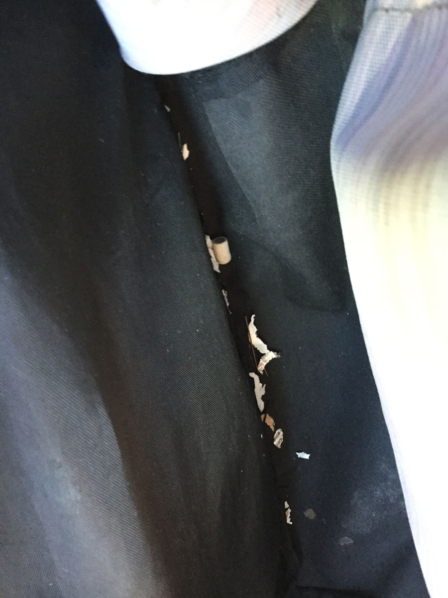 Mice in school lockers, classrooms, hallways, and bleachers; officials