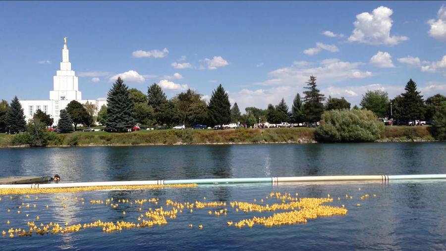 Idaho Falls Duck Race canceled East Idaho News