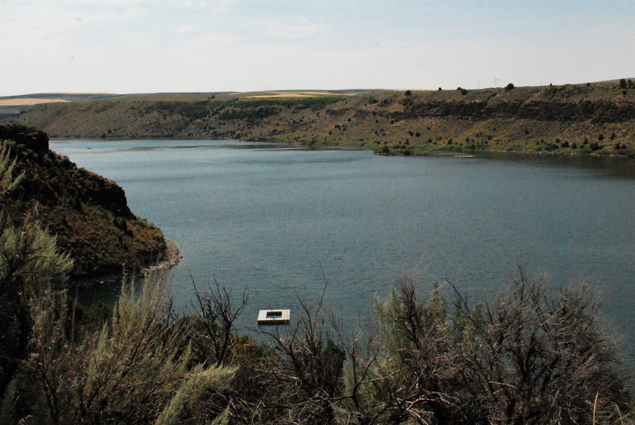 The Kokanee are biting at Ririe Reservoir East Idaho News