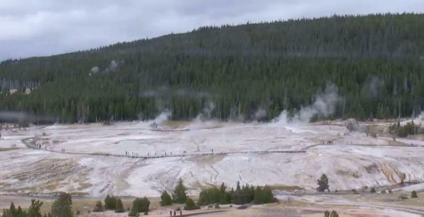 yellowstone geyser