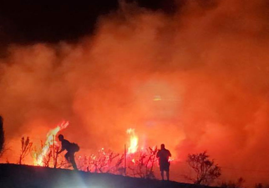 Wild Mountain Fire