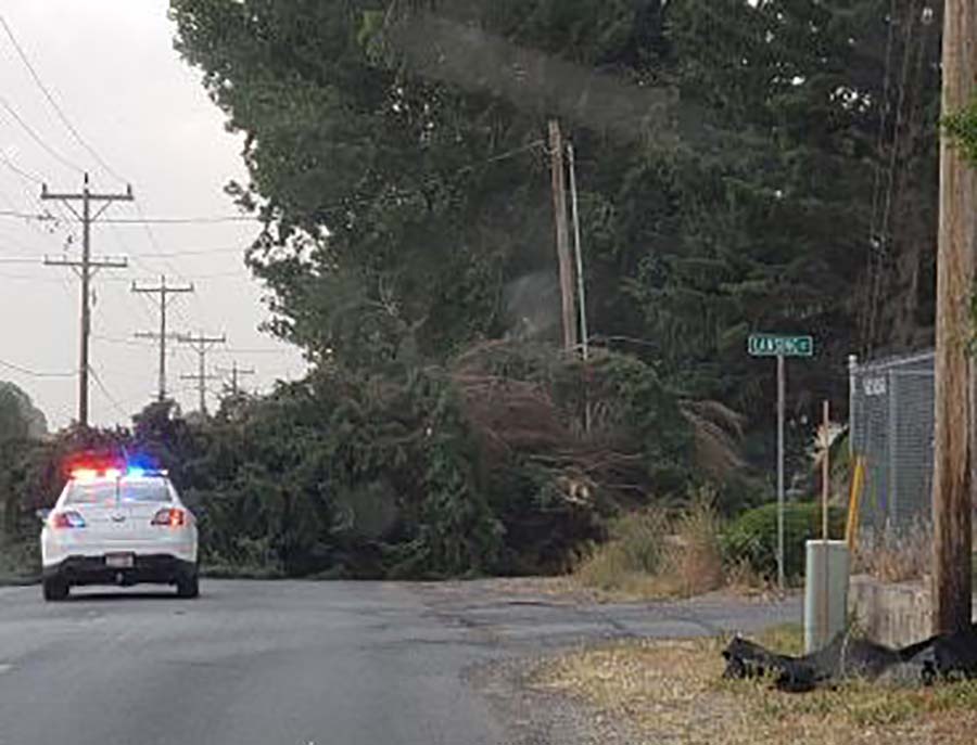 GALLERY Your photos from the wild wind storm East Idaho News