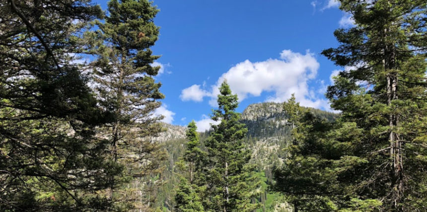 payette national forest
