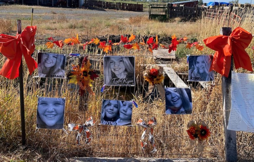 tylee fence