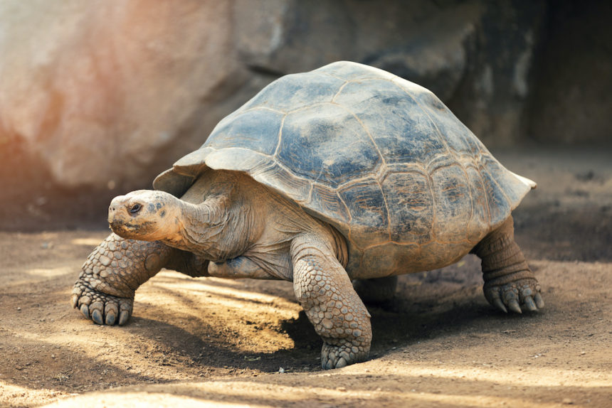 AdobeStock 201053203