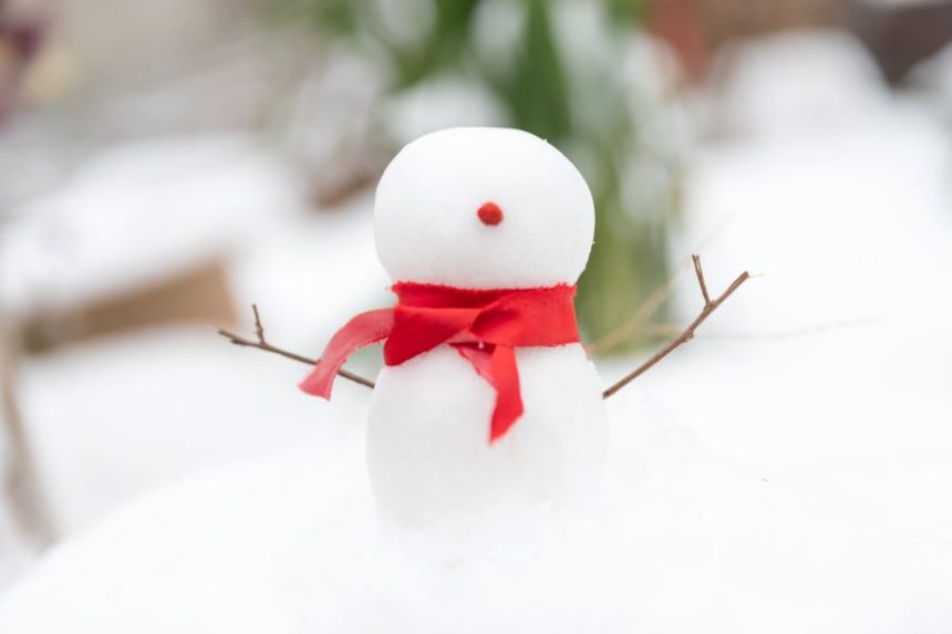 snowman resized