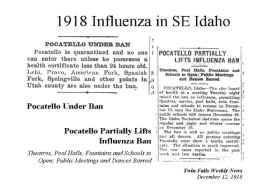 articles on influenza