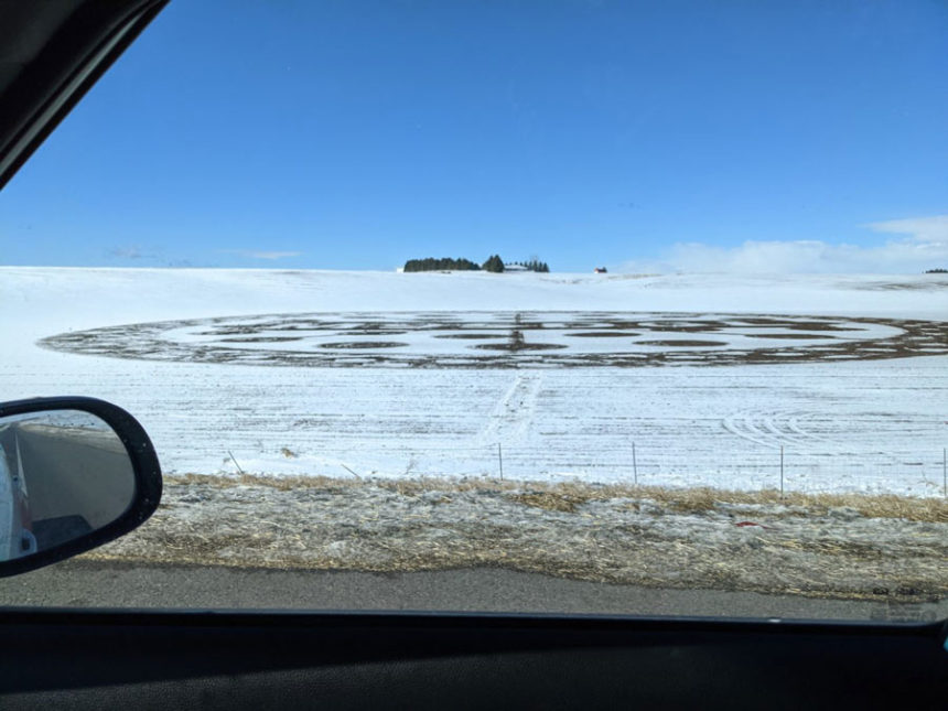 crop circles