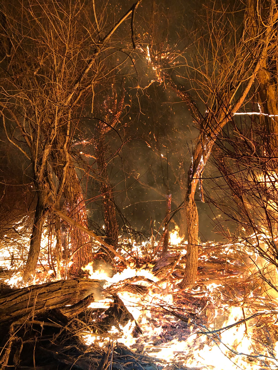 Campfire left unattended cause of 34acre fire near Menan East Idaho News