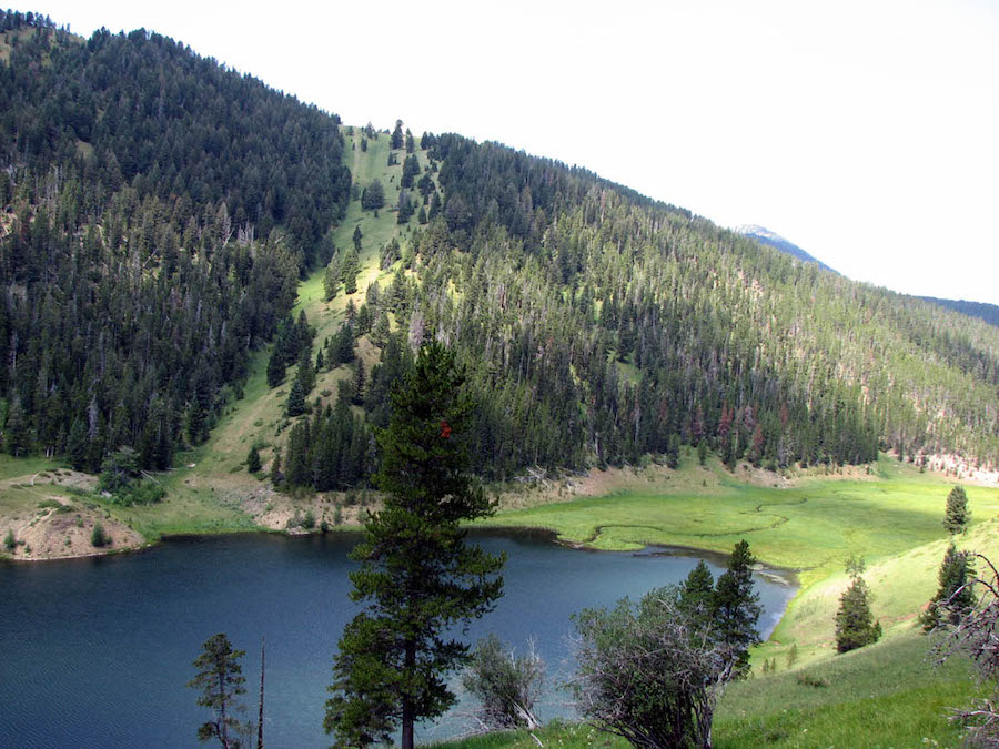 Camper bitten by bear at Montana lake couldn’t call for help. Then a