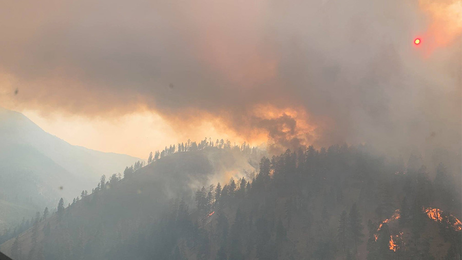 Forest fire continues to grow as smoke hampering air resources East