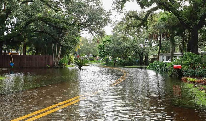 flooded street