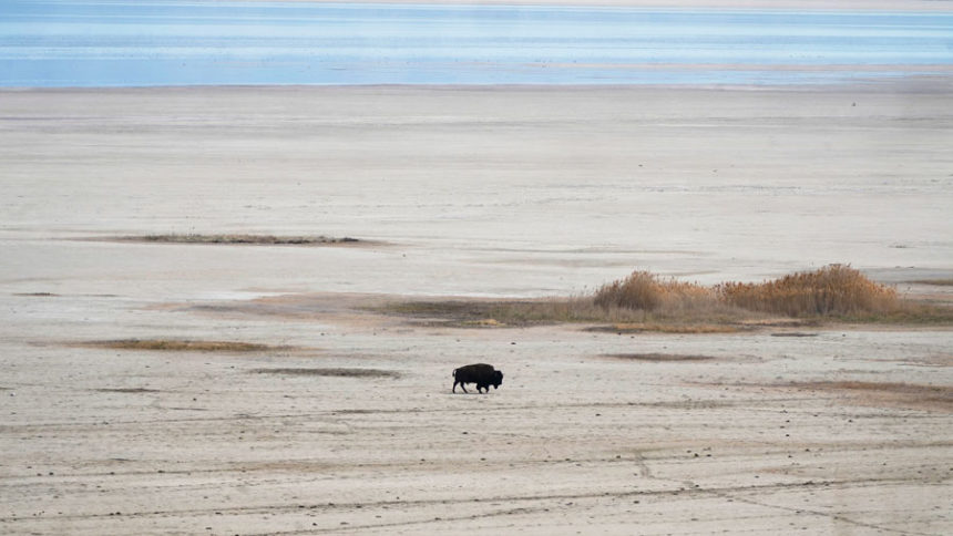 salt lake