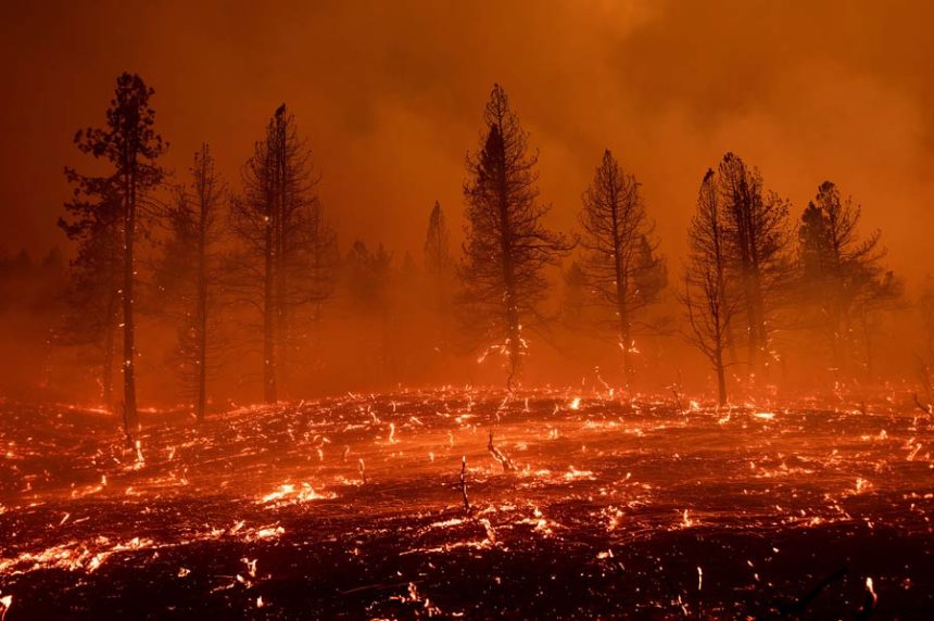 western wildfire