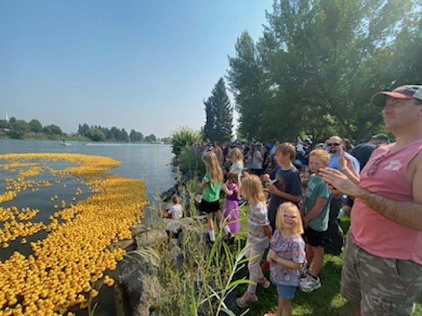 duck race