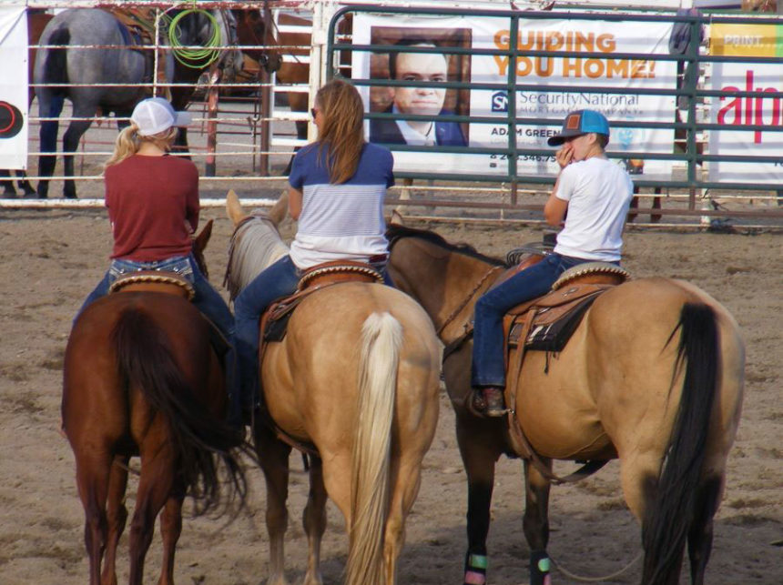 horses1