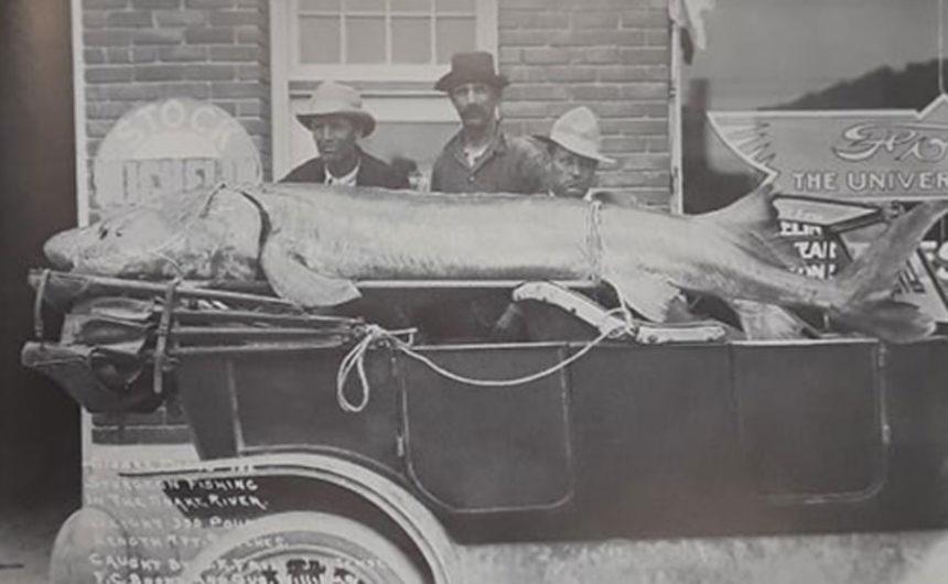 The fishermen in this photograph