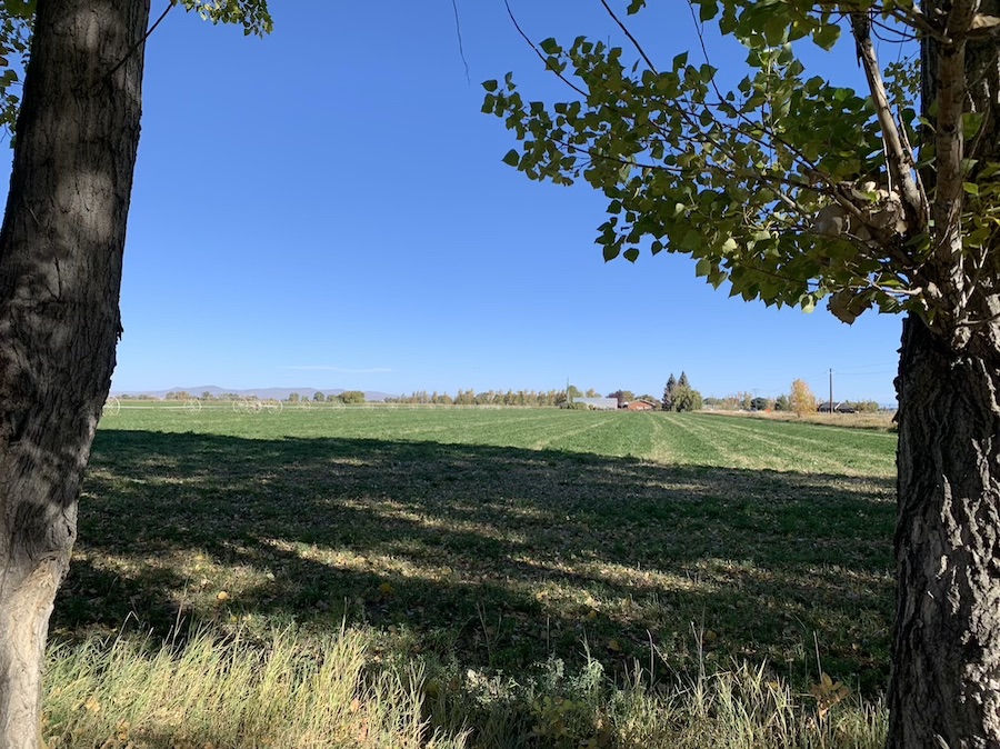 hegsted property