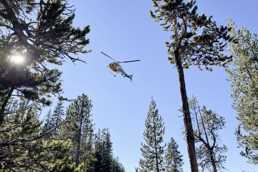 Search For Missing Utah Man At Yellowstone National Park Scaled Back East Idaho News