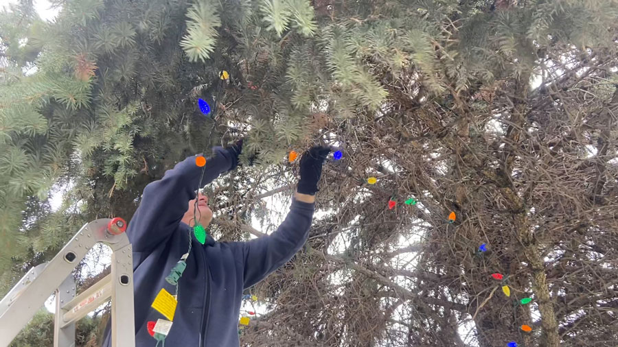 Bannock County lights courthouse trees for holiday season East Idaho News