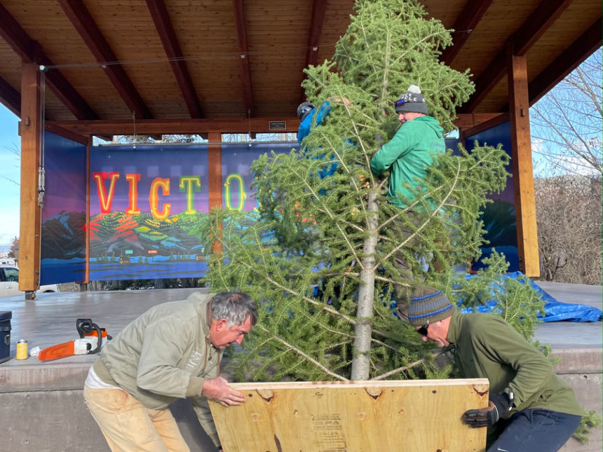 Victor tree