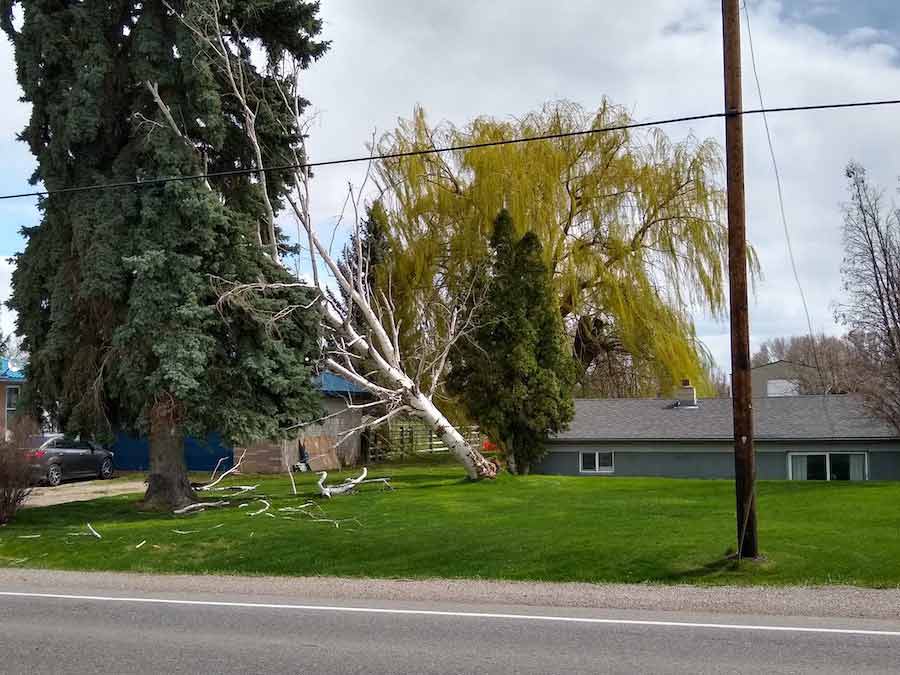 Very high wind warning issued throughout eastern Idaho East Idaho News