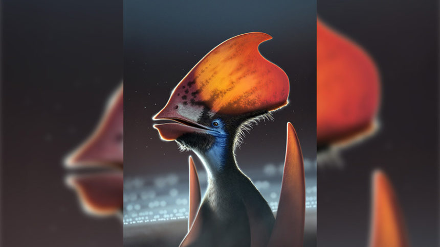 pterosaur with colorful feathers