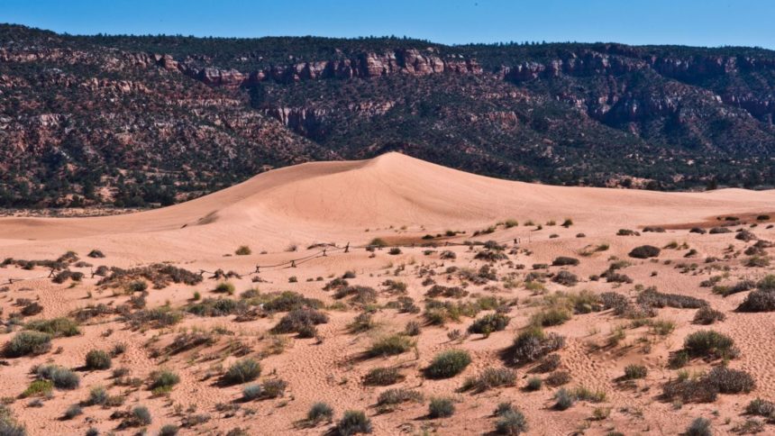 Coral Pink Sand Dunes