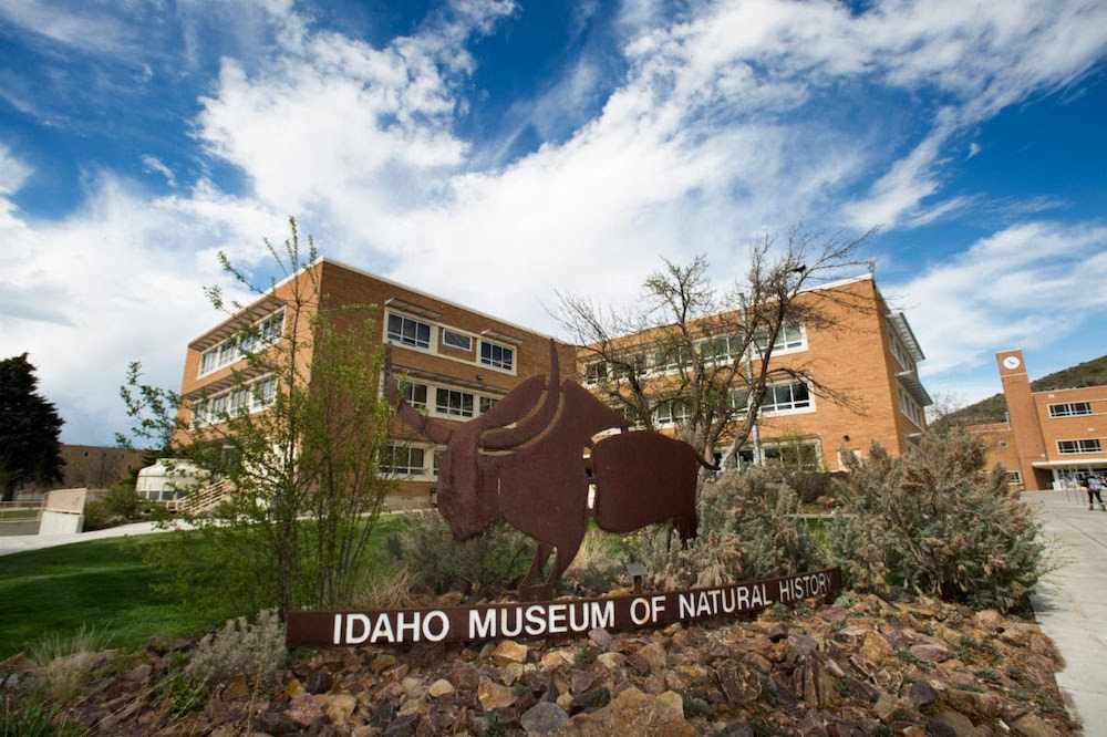 Idaho Museum of Natural History offering free admission to active