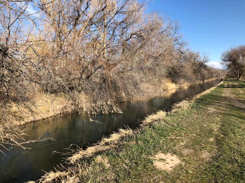 canal bank