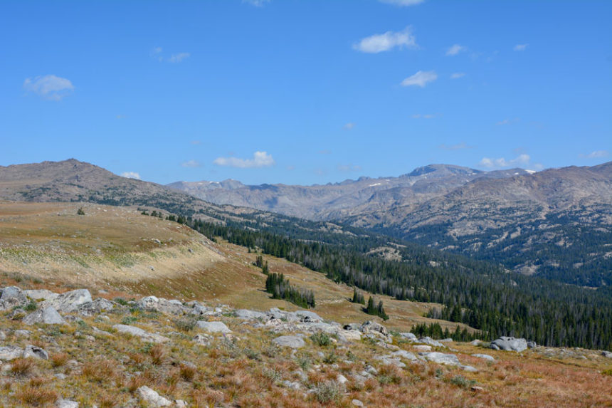 Public Land