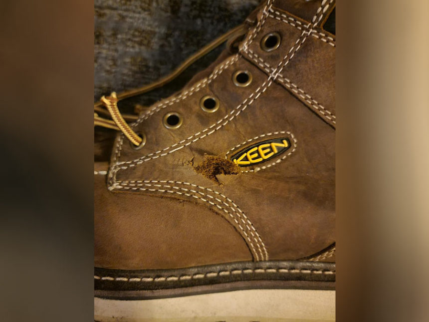 boot pic