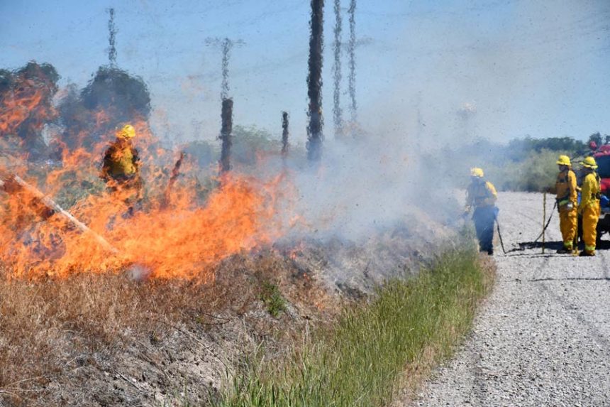 controlled burn