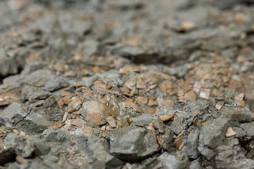 A clutch of 74 million-year-old turtle eggs are seen at the Idaho Museum of Natural History on Thursday, April 28, 2022.