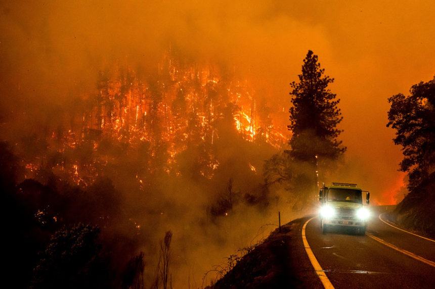 California Fire