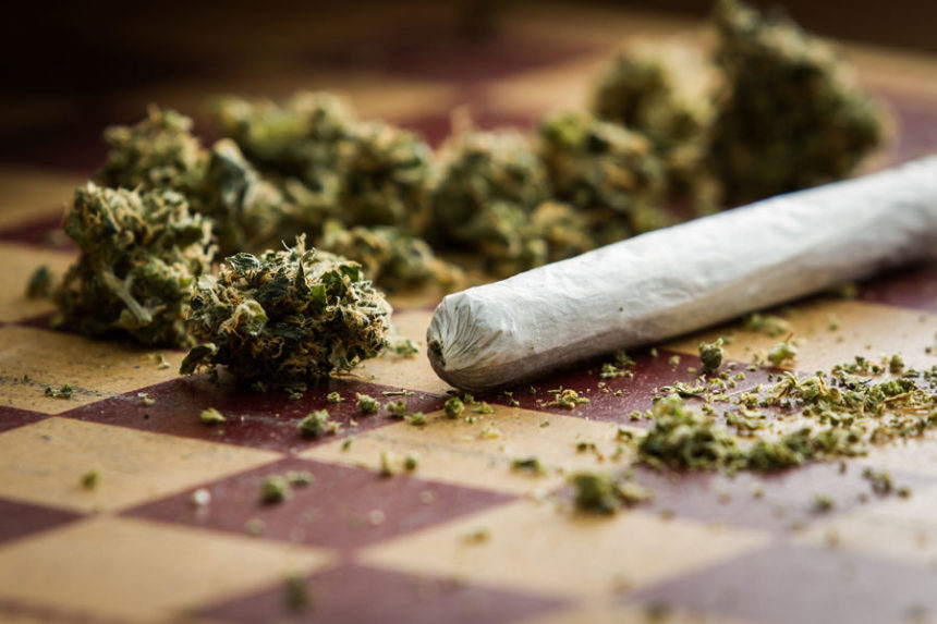 Cannibis Weed