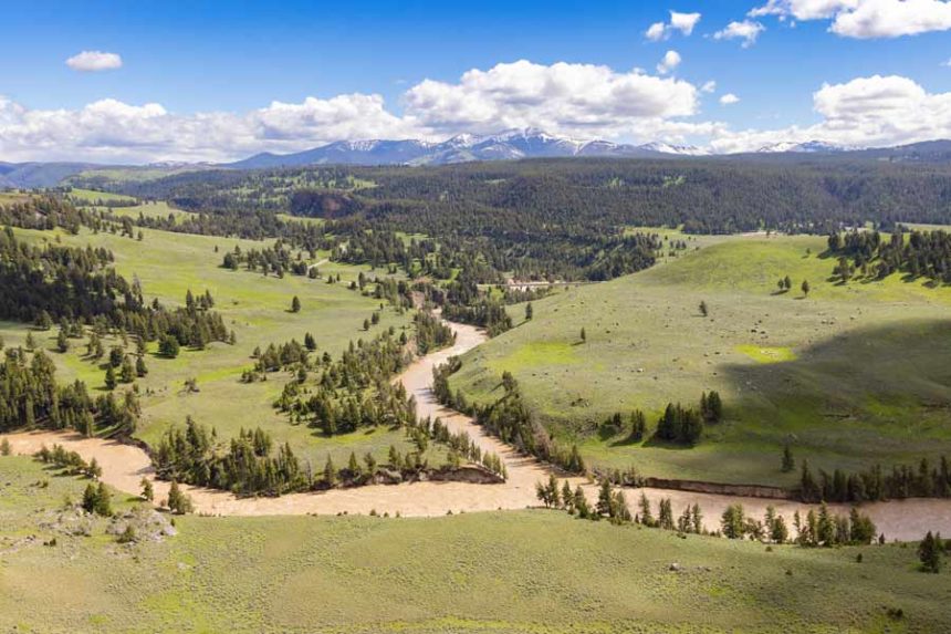 Lamar and Yellowstone Rivers