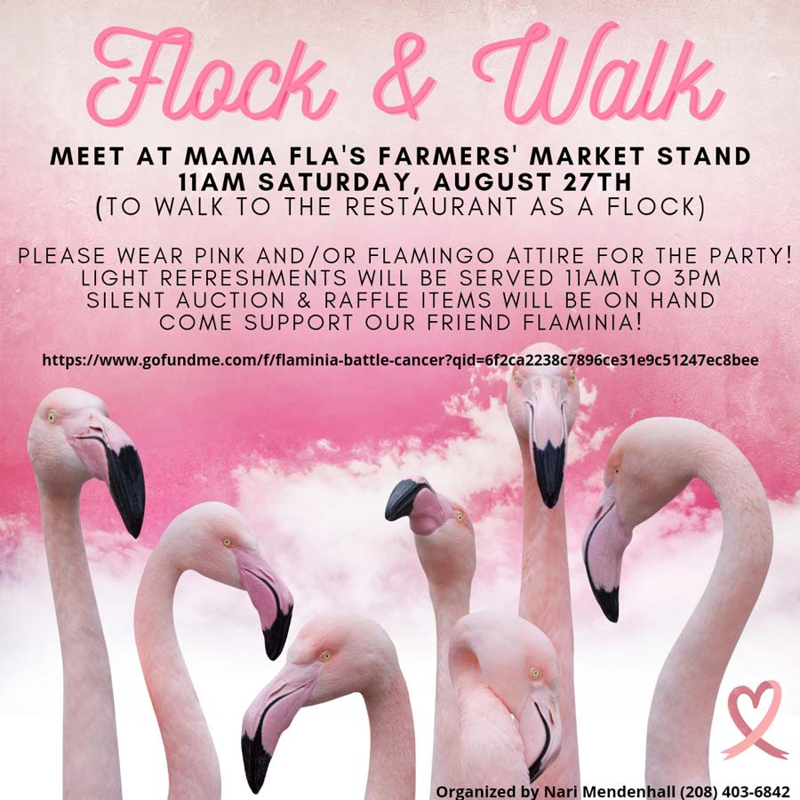 flock and walk flier