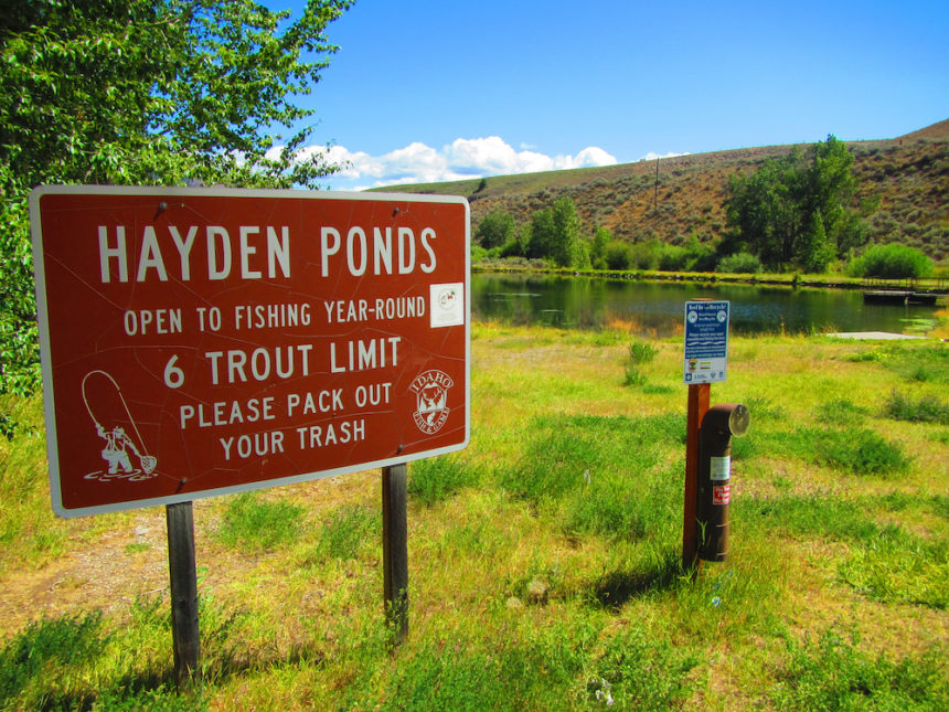 hayden pond and sign