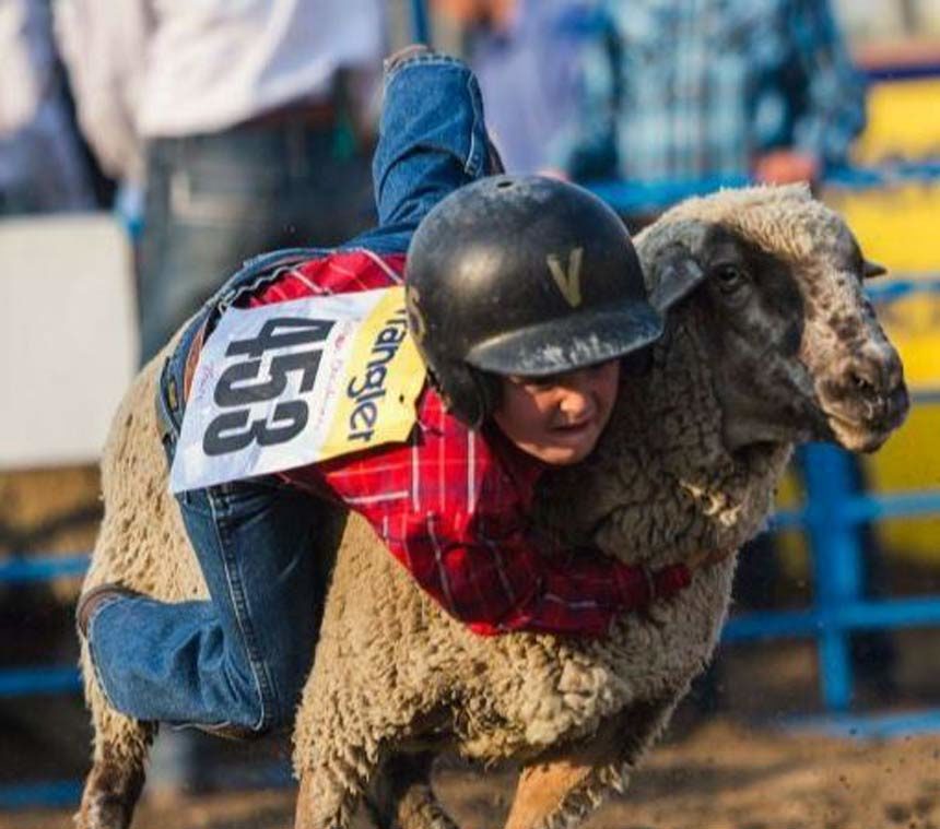 mutton bustin
