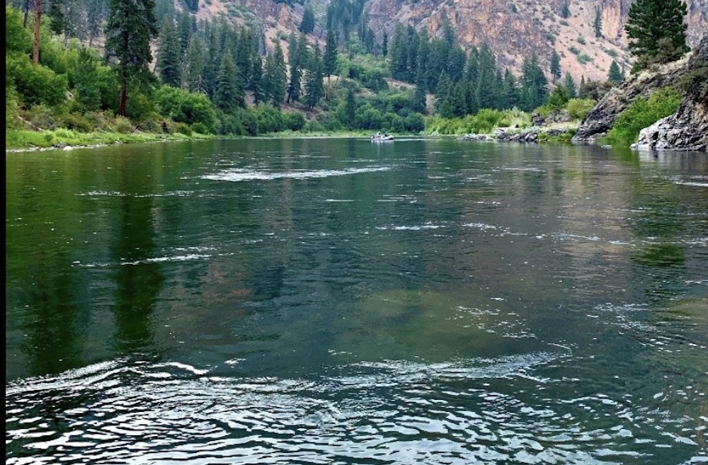 Man drowns after boat overturns in Salmon River - Vimarsana News