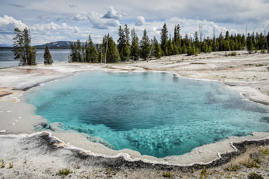 Yellowstone National Park sees drop in visitors last month - Vimarsana News