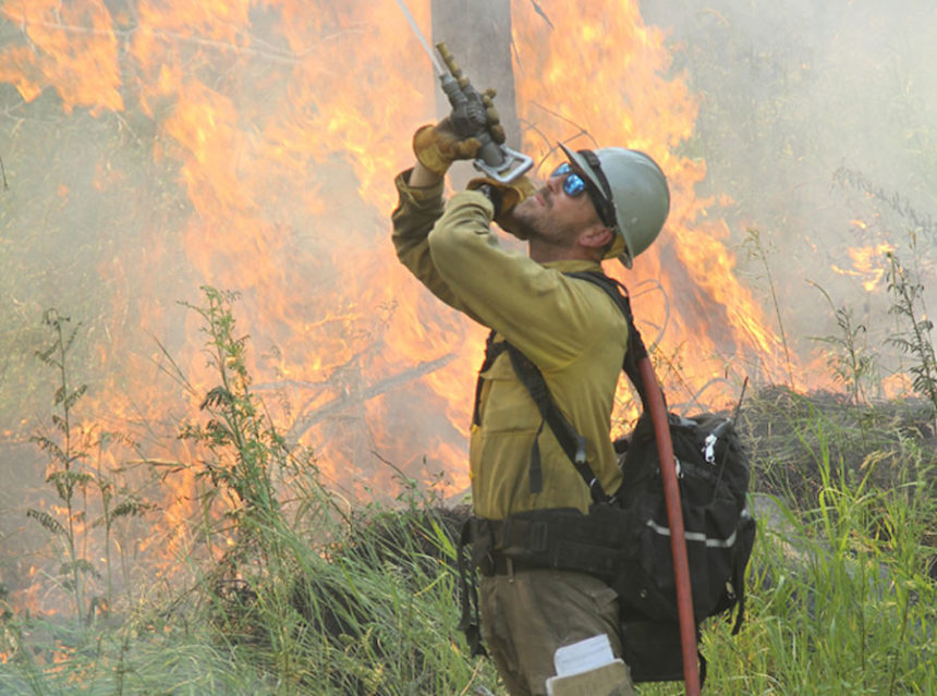 Firefighter