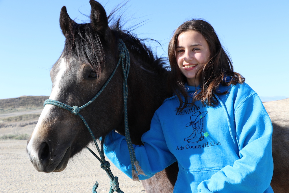 Wild horse adoption event to be held in Blackfoot - Vimarsana News
