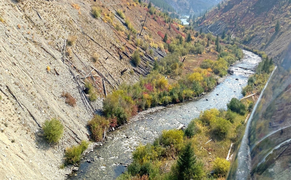 River and Sky: A fish biologist's perspective of counting salmon from the air - Vimarsana News