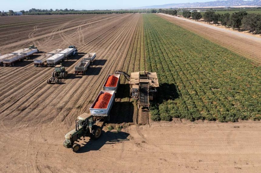 drought farmers