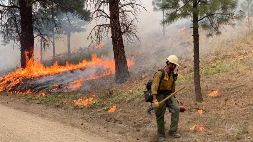 firefighter at moose fire