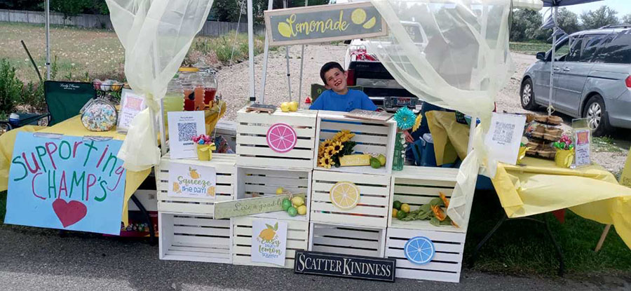 Four youngsters build lemonade stand to donate money to nonprofit organizations - Vimarsana News