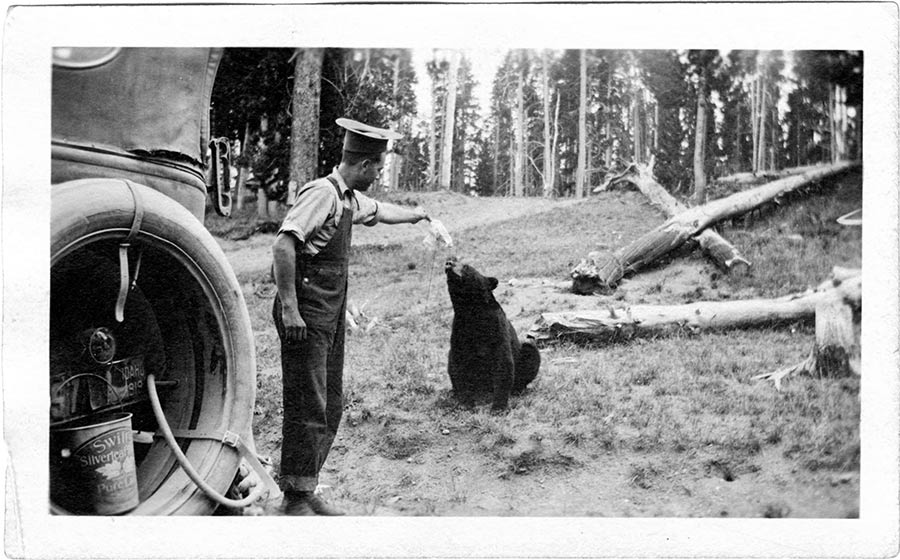 ISU honoring 150th anniversary of Yellowstone with physical exhibit, digital collection - Vimarsana News