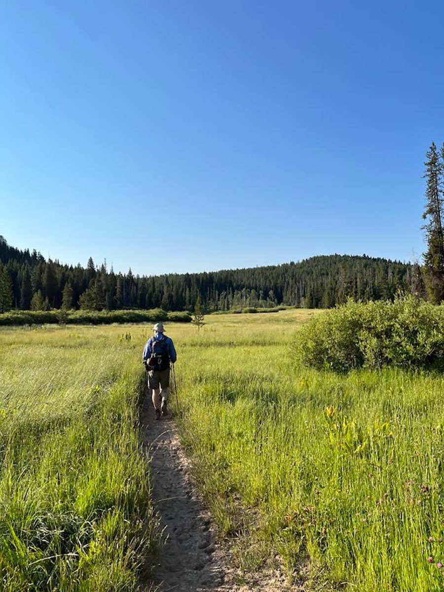out in the wilderness